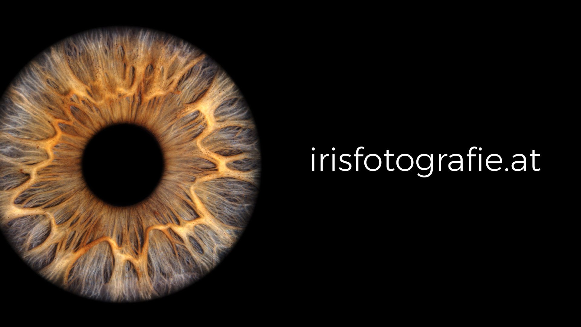 Irisfotografie – Dein Auge als einzigartiges Kunstwerk